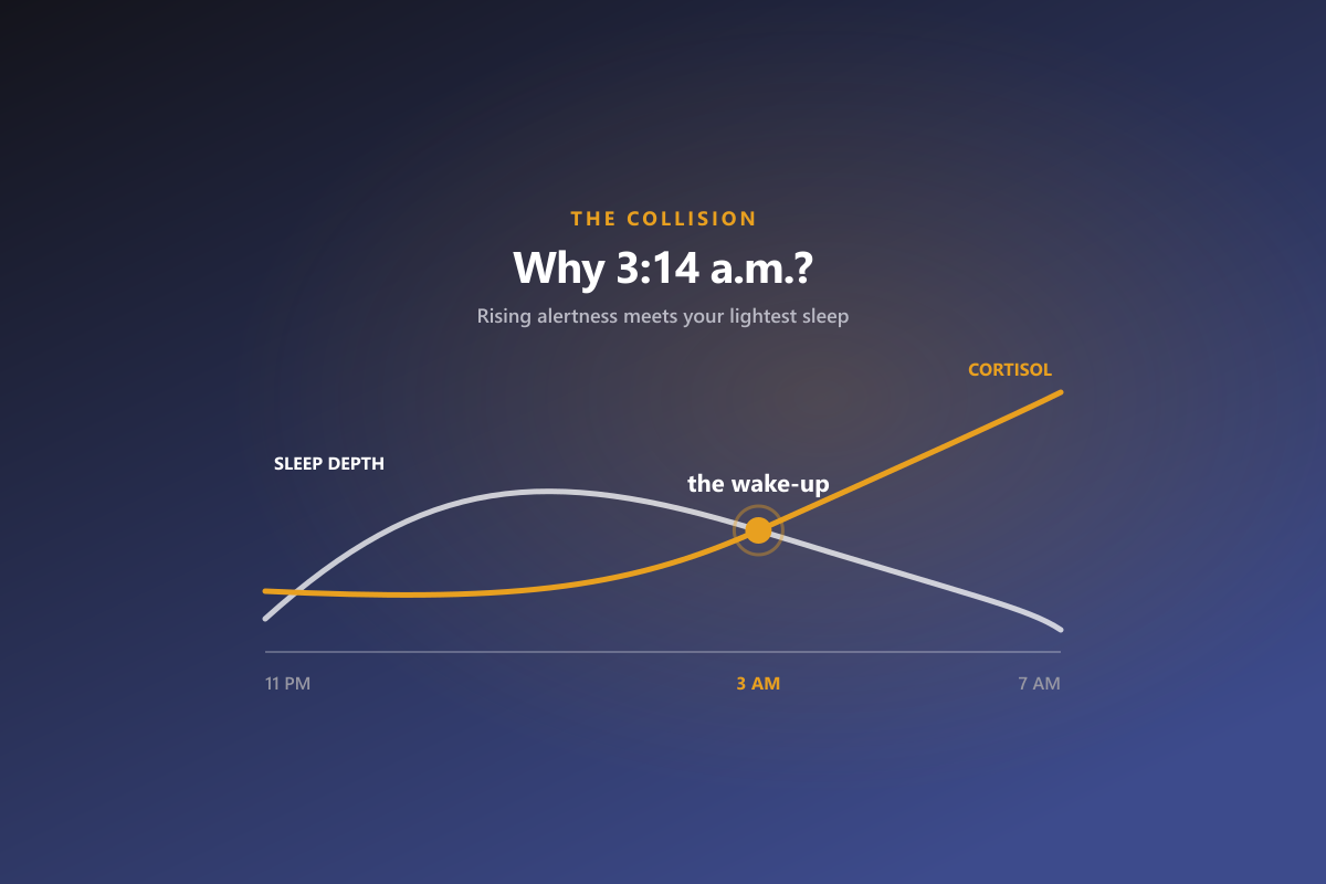 Chart: early-morning cortisol rise crossing declining sleep depth at 3 a.m.