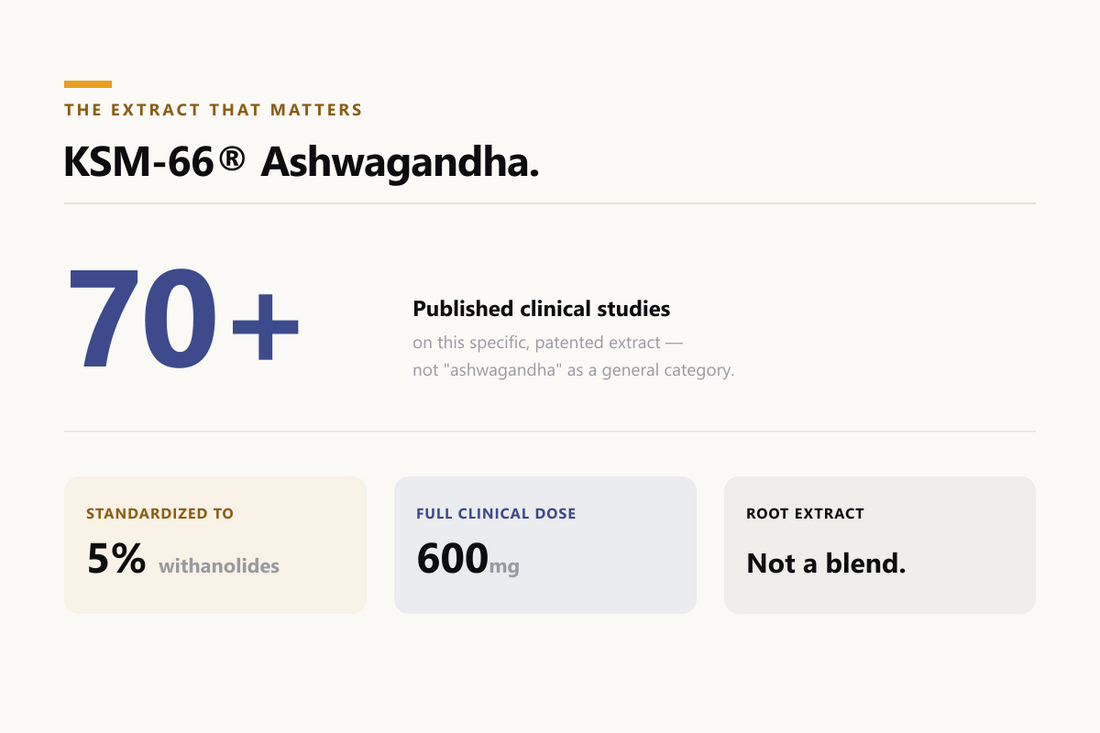 KSM-66 Ashwagandha: 70+ published clinical studies, standardized to 5% withanolides, 600mg full clinical dose