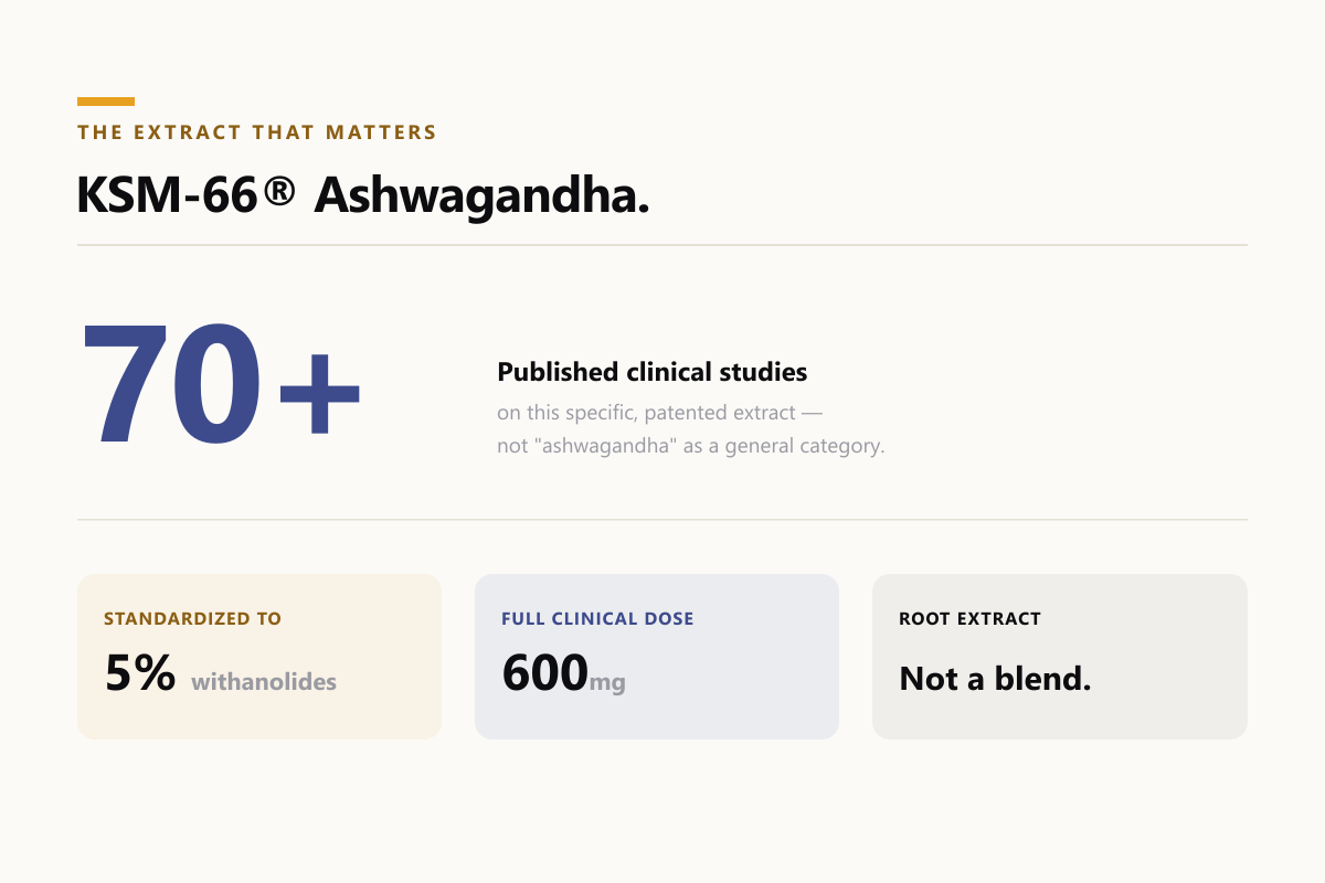 KSM-66 Ashwagandha: 70+ published clinical studies, standardized to 5% withanolides, 600mg full clinical dose
